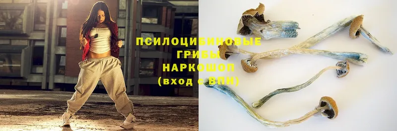 Псилоцибиновые грибы Magic Shrooms  МЕГА ССЫЛКА  Большой Камень  как найти  